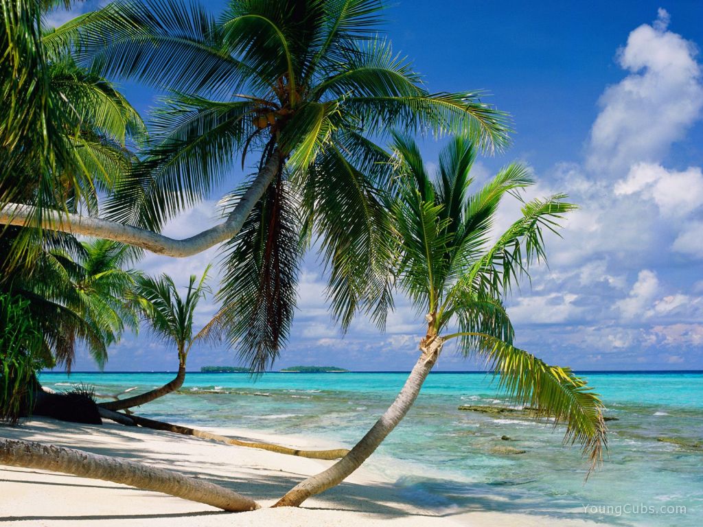 Tepuka Island, Tuvalu